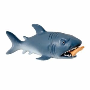 CHOMP-Chomp-web