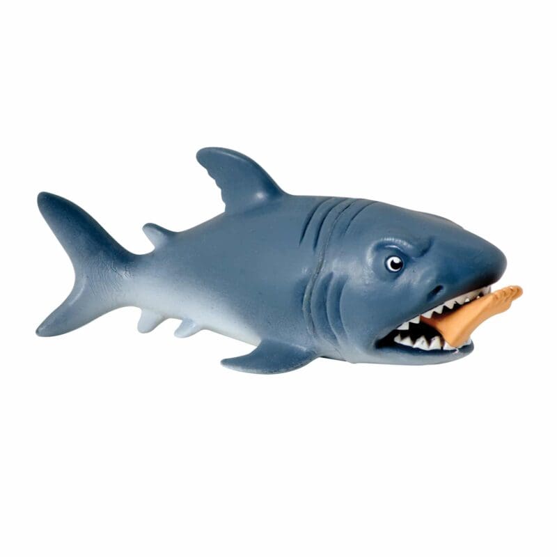 CHOMP-Chomp-web