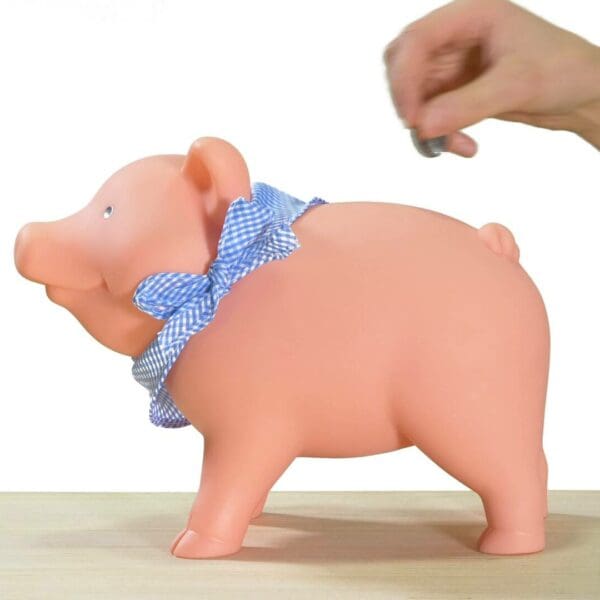 Rubber piggy bank video