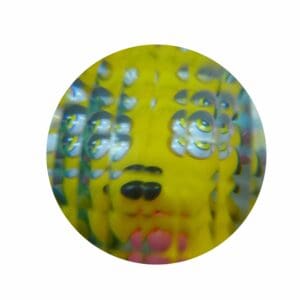 TDE-TinFlysEye-View-web