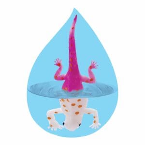 CCRA-Color-Change-Revealeons-Dunk-Pink-web